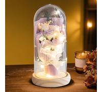 HEINexoria 7 Eternal Roses in Glass Dome with LED Lights - Luxury Artificial Flower Gift for Women, Wife, Mum, Valentine's Day, Anniversary, Birthday, Wedding, Home Decor, Real Wood Base
