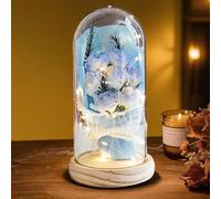 HEINexoria 7 Eternal Roses in Glass Dome with LED Lights - Luxury Artificial Flower Gift for Women, Wife, Mum, Valentine's Day, Anniversary, Birthday, Wedding, Home Decor, Real Wood Base