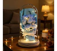 HEINexoria Birthday Gifts for Women - 7 Eternal Roses in Glass Dome with LED Lights | Luxury Artificial Flower Gift for Wife, Mum, Valentine's Day, Anniversary, Wedding, Home Decor, Real Wood Base