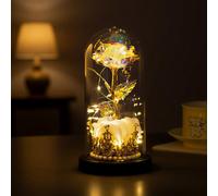 HEINexoria Eternal Rose Gift - Artificial Rose in Plastic Dome, Golden Crown Base, Warm LED Light, Perfect for Women, Birthdays, Valentine's Day, Anniversaries, Home Decor (Pink)