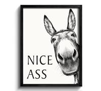 Heiple Framed Bathroom Art Bathroom Wall Decor Farmhouse Home Bathroom Decor Sets Vintage Funny Wall Art Bathroom Signs (Framed Black Donkey) (Black, 12"x16")