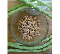 Heirloom Bush Pea TEXAS CREAM 40 Cowpea 200 SEMI prolifico Bean PEA DEL SUD