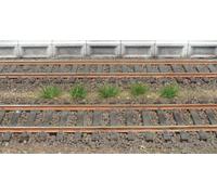 HEKI 1803 Grass Tufts 100 Pieces Dark Green Grass (Height Mm. 5-6)