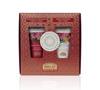 Helan Amber Necklace - Women's Gift Set with 2-in-1 Shampoo and Shower Gel and Scented Moisturizing Body Cream - Beauty Gift Ideas with Vitamin C, E, and Sweet Almond Oil, 75 ml Made in Italy