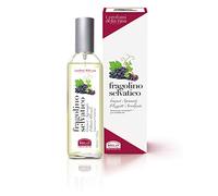 Helan I Profumi della Casa - Wild Strawberry Room Spray with a Fresh and Sparkling Scent, Diffusers for Home with Fruity & Citrusy Notes - Room Fragrance and Air Freshener Spray - Made in Italy, 100ml