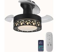 HELCEKOU Ceiling fan light 53CM LED Silent Reversible Light with Fan 6-speed Memory Function for Bedroom Living Room and Study Black/White (Black)