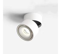 HELCEKOU Spotlight，Led Wall Mounted Spotlights Ceiling Spotlight Foldable Lamp Clothing Store Background Showroom Living Room Bedroom Black and White Neutral Light/White