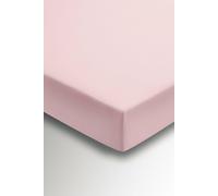 Helena Springfield Percale Single Fitted Sheet, Blush