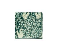 Helena Springfield 'Squirrels' Fleece Throw in Green | Size: 140 cm x 180 cm Helena Springfield Green 140 cm x 180 cm