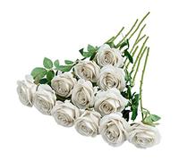 Helera 12pcs Rose Artificial Flowers Fake Roses Nude Silk Roses Silk Flowers Rose with Long Stems for Wedding Home Party Centerpieces Decorations