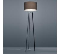 Helestra Certo tripod floor lamp, anthracite