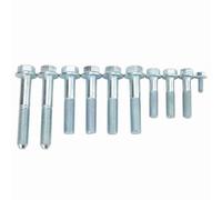 HELEVIA 10pcs Bolt Kit for K20 K24 Engine Hydroelectric Transmission High Quality Metal Starter Bolt