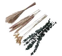 HELEVIA Dried Flowers Bouquet, 30 Soft Grass 10 Tails 5 Pampas Grasses 5