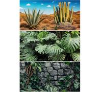 Helidrago 3 Pack Reptile Background for Terrarium, Bearded Dragon Tank Background 36x18 for 40 Gallon, Desert, Jungle, Rocky Style, Bearded Dragon Decor for Habitat