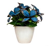 Helilyco Artificial Phalaenopsis Orchid Bonsai Fake Flower, Low Maintenance Plastic Plant Home Office Decor, Wedding Party Centerpiece & Photo Prop(Blue)