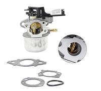 Helilyco Carburetor for Bailitong 7 Metal Engine Replacement with Gaskets and Rubber Ring for Walk-Behind Mowers