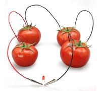 Helilyco DIY Fruit Battery Experiment Kit for Children - Science Electricity Learning Tool with Copper Zinc Electrodes 10cm for Classroom Demonstrations