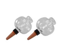 Helilyco Lantern Shaped Self Watering System 2 Pack, Transparent Automatic Plant Waterer Indoor Outdoor Use, Low Maintenance Gardening