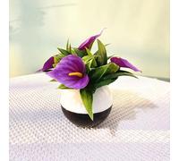 Helilyco Realistic Artificial Calla Lily in Pot, 16cm Velvet Simulation Flower Arrangement, Lightweight Fake Plant Home Office Table Decoration