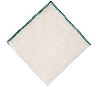 Hell Blues Men Pocket Square Linen with Embroidered Edge ~ Suit Accessories For Wedding, Formal event 24cm x 24cm (Green)