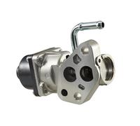 HELLA 6NU 010 171-001 EGR valve