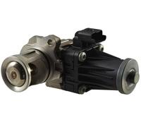 HELLA 6NU 010 171-181 EGR valve