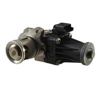 Egr Valves Egr Module Electric-Pneumatic (6Nu 010 171-181) OEM Hella