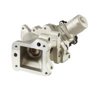 HELLA 6NU 010 171-231 EGR valve