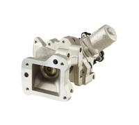 HELLA 6NU 010 171-231 EXHAUST GAS RECIRCULATION VALVE GENUINE