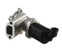 HELLA 6NU 010 171-451 EGR valve