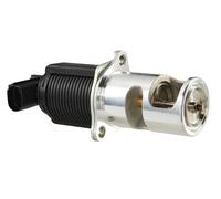 HELLA 6NU 010 171-521 EGR valve