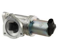 HELLA 6NU 010 171-531 EGR valve