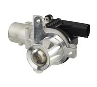 HELLA 6NU 010 171-741 EGR valve