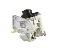 HELLA 6NU 010 171-811 EGR valve