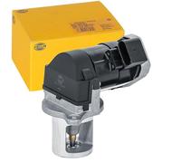 HELLA 6NU 014 864-651 EGR Valve - Electric - 4-pin connector - with seal