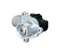 HELLA 6NU 014 864-941 EGR valve
