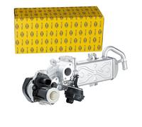 HELLA 6NU 358 167-001 EGR Module - Electric - 5-pin connector - with gaskets/seals/with EGR cooler - with EGR valve