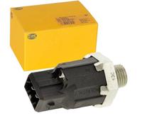 HELLA 6PG 009 108-881 Knock Sensor - 2-pin connector | 6PG 009 108-881 For Dokker Duster Lodgy Logan Sandero Solenza Lada