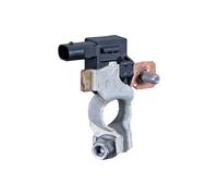 HELLA 6PK 012 767-491 Sensor, battery management - 12V - Bolted - without cable set