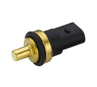 HELLA 6PT 013 113-291 Sensor, fuel temperature - 2-pin connector - Clamped - without housing - with seal ring