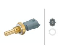 Hella Oil Temperature Sensor 6PT 009 107-611 - 2-pin Connector, Bolted, With Seal