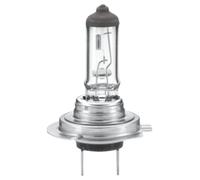 HELLA 8GH 007 157-231 Bulb - H7 - Heavy Duty Expert Longer lifetime, vibration resistant - 24V - 70W - Socket Type: PX26d - Box - Quantity: 1