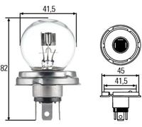 10x Light bulb R2 (Bilux) 8GD 002 088-071 HELLA for FIAT 500
