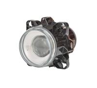 Hella Insert, headlight Front 1LL 008 193-127 2166259