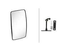 HELLA 8SB 002 995-151 Ramp Mirror - Synthetic Material Housing - Black - Width: 241mm - Height: 158mm - right