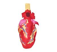 Hellery Human Heart Costume, Disguise for Theme Parties, Birthdays for