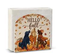 Hello Fall Dog Lover Acrylic Cocktail Napkin Holder Fall Coffee Table Decor