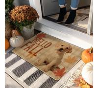 Hello Fall Doormat, Tan Puppy Door Mat for Indoor & Outdoor Entryway Autumn Decor, Non-Slip Rubber Dust Absorbent Welcome Mats, Easy to Clean 29x17 Inch