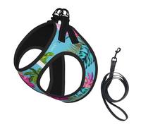 Hello Hawaii printing Puppy Harness, Dog Harness and Leash Set, Soft Mesh Reflective Breathable Lightweight Vest-Style