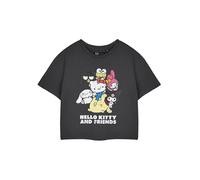 Hello Kitty & Friends Grey Cropped Short-Sleeved T-Shirt | Womens Graphic Tee | Cute Sanrio Characters Top